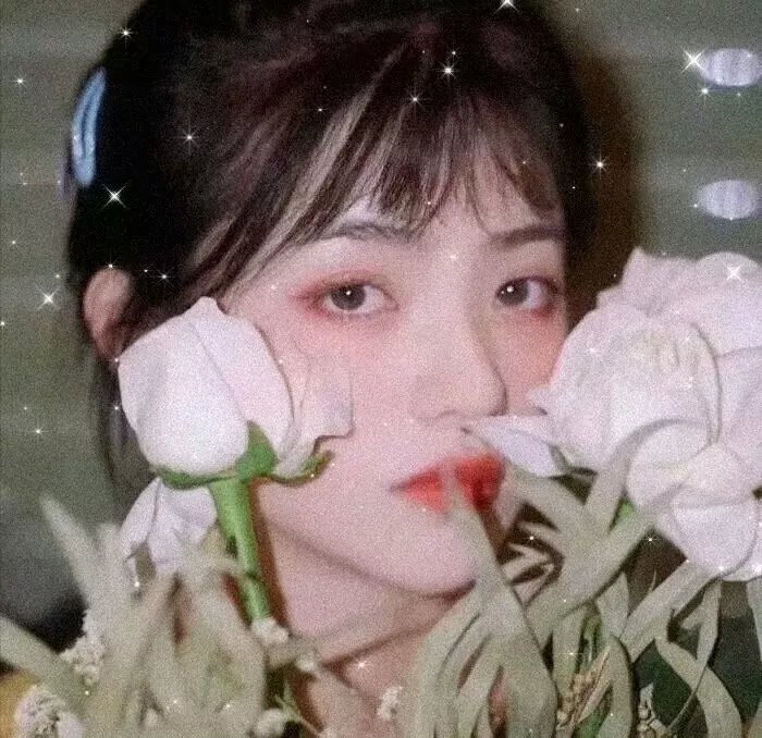 呆仔缉私